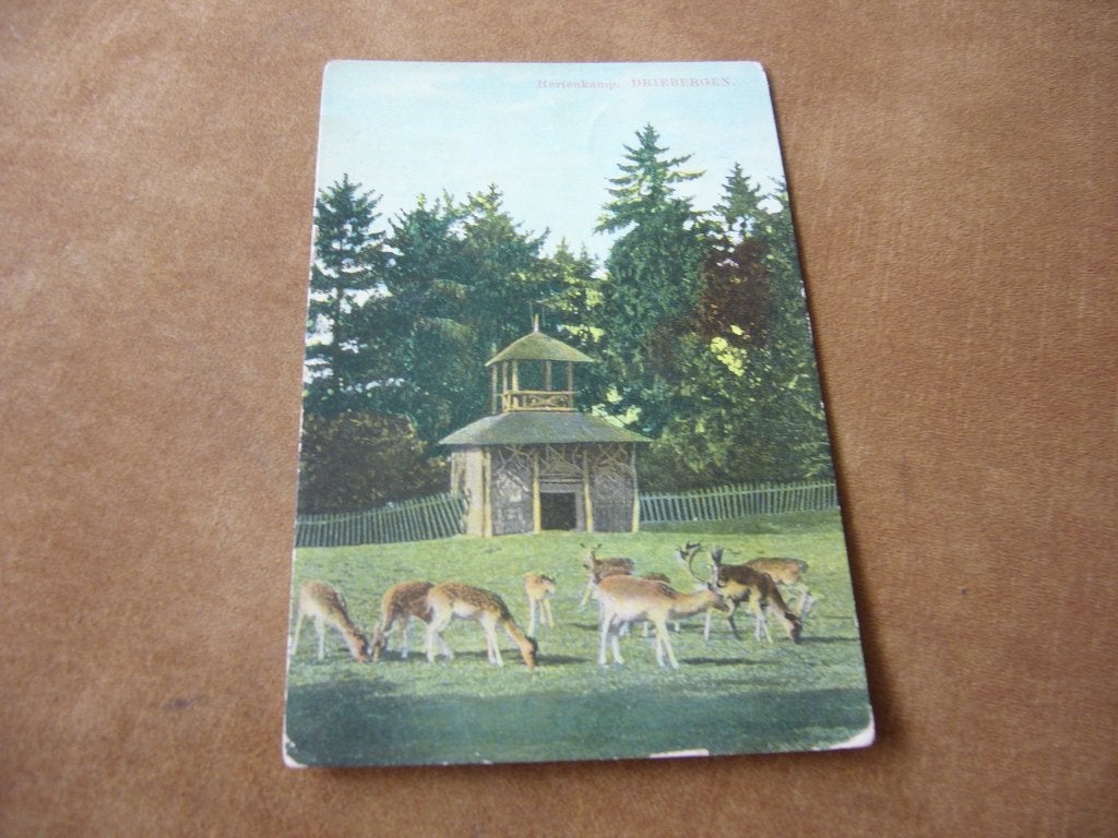 DRIEBERGEN  =  HERTENKAMP  BRIEFKAART 1911, Ophalen of Verzenden, Voor 1920, Gelopen, Utrecht