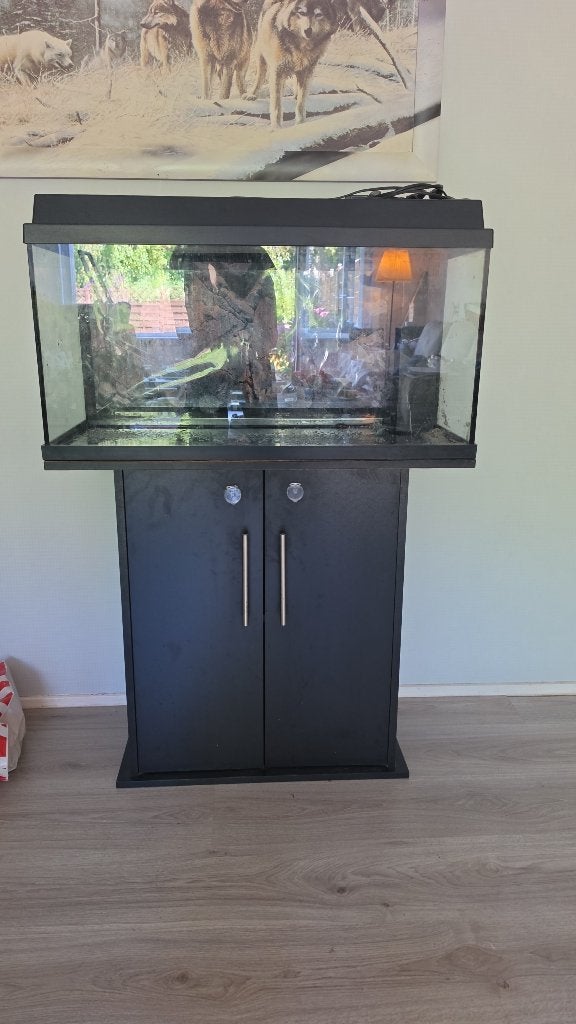 Auquarium juwel 80, Dieren en Toebehoren, Ophalen, Gebruikt, Leeg aquarium, Verwarming