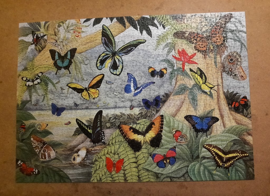 Puzzle: Allemaal vlinders, Ophalen of Verzenden, 500 t/m 1500 stukjes, Zo goed als nieuw, Legpuzzel