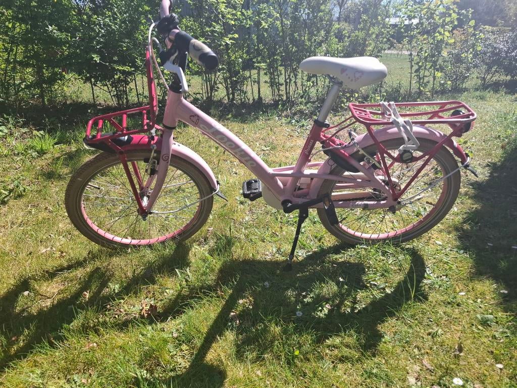 Loekie Prinses 20 inch meisjesfiets - Prima staat, Ophalen of Verzenden, Gebruikt, 20 inch of meer, Loekie