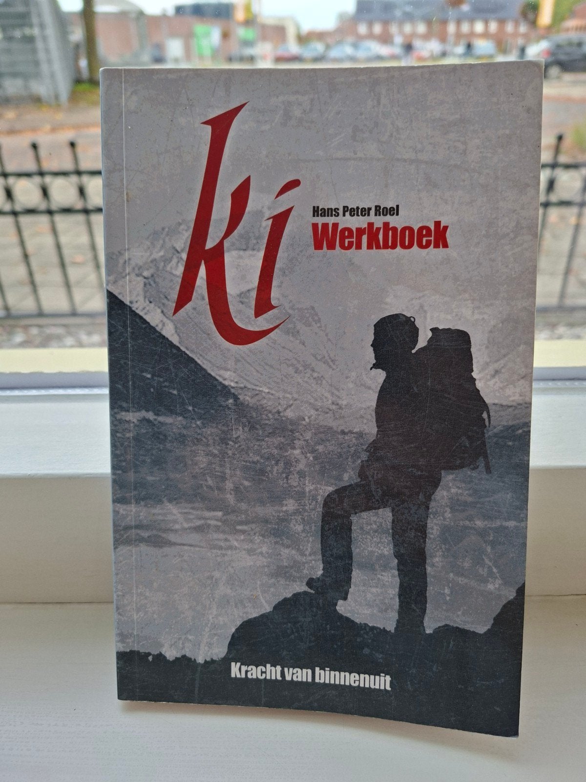 Ki Werkboek: Kracht van binnenuit - Hans Peter Roel, Spiritualiteit algemeen, Hans Peter Roel, Ophalen of Verzenden, Zo goed als nieuw
