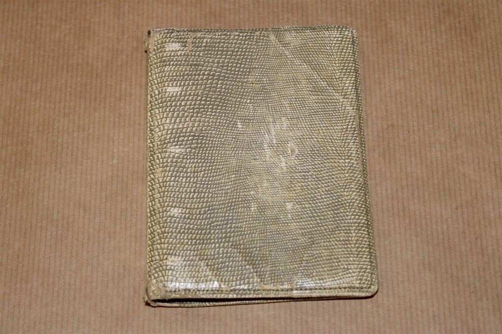 Succes-Agenda Lady 1966, Ophalen of Verzenden, Gelezen