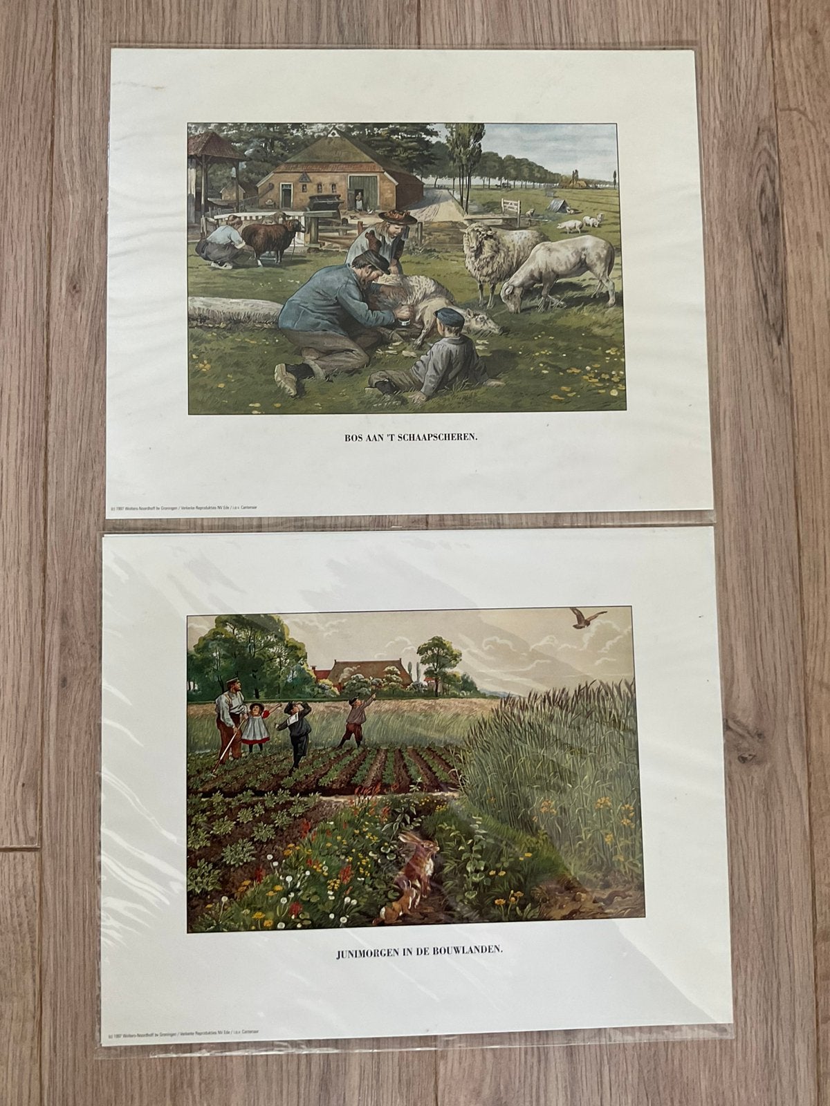 Twee prenten van Cornelis Jetses, Ophalen of Verzenden, Zo goed als nieuw, Reclame