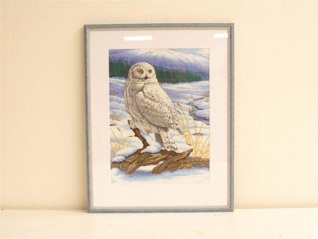 prent van een uil 29205, Ophalen of Verzenden, Voor 1920, Ongelopen, Vogel