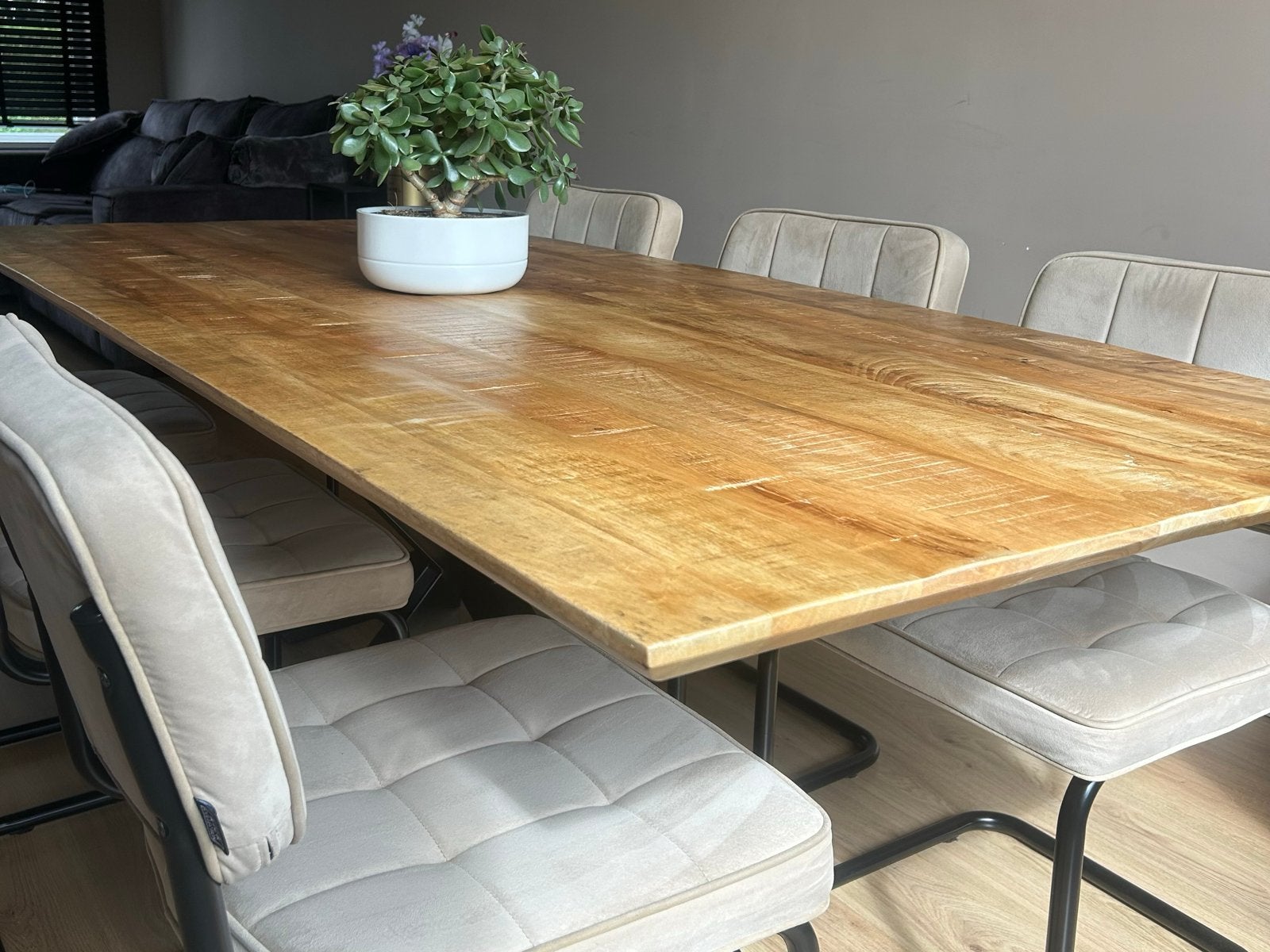 Eettafel India 220 met 6 Kick buisframe stoelen Ivy champagn, Ophalen, 4567da, 50 tot 100 cm, Vijf personen of meer