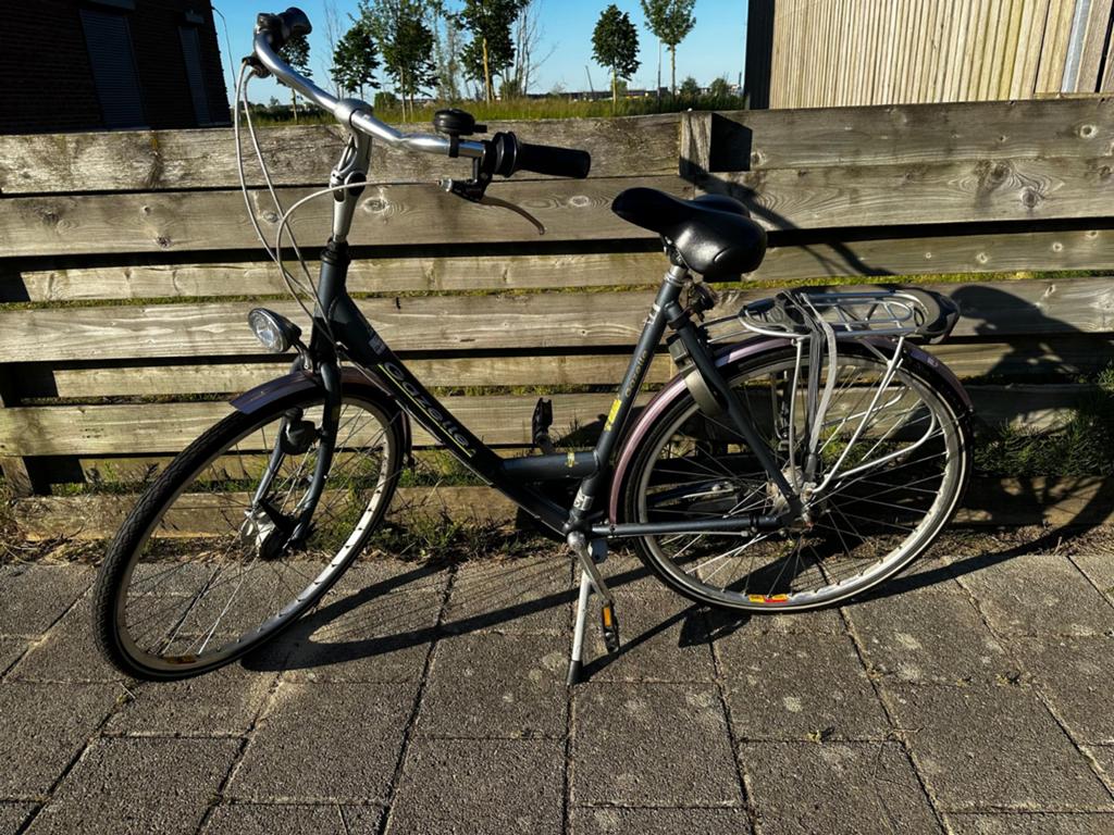 Gazelle Damesfiets, 7 versnellingen, Ophalen, Gebruikt, Versnellingen, 56 cm of meer