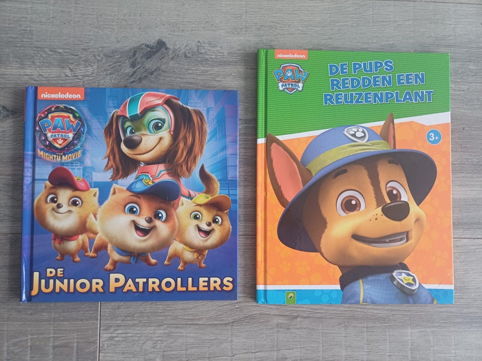 Paw Patrol voorleesboeken, Ophalen of Verzenden, Zo goed als nieuw, 3 tot 4 jaar