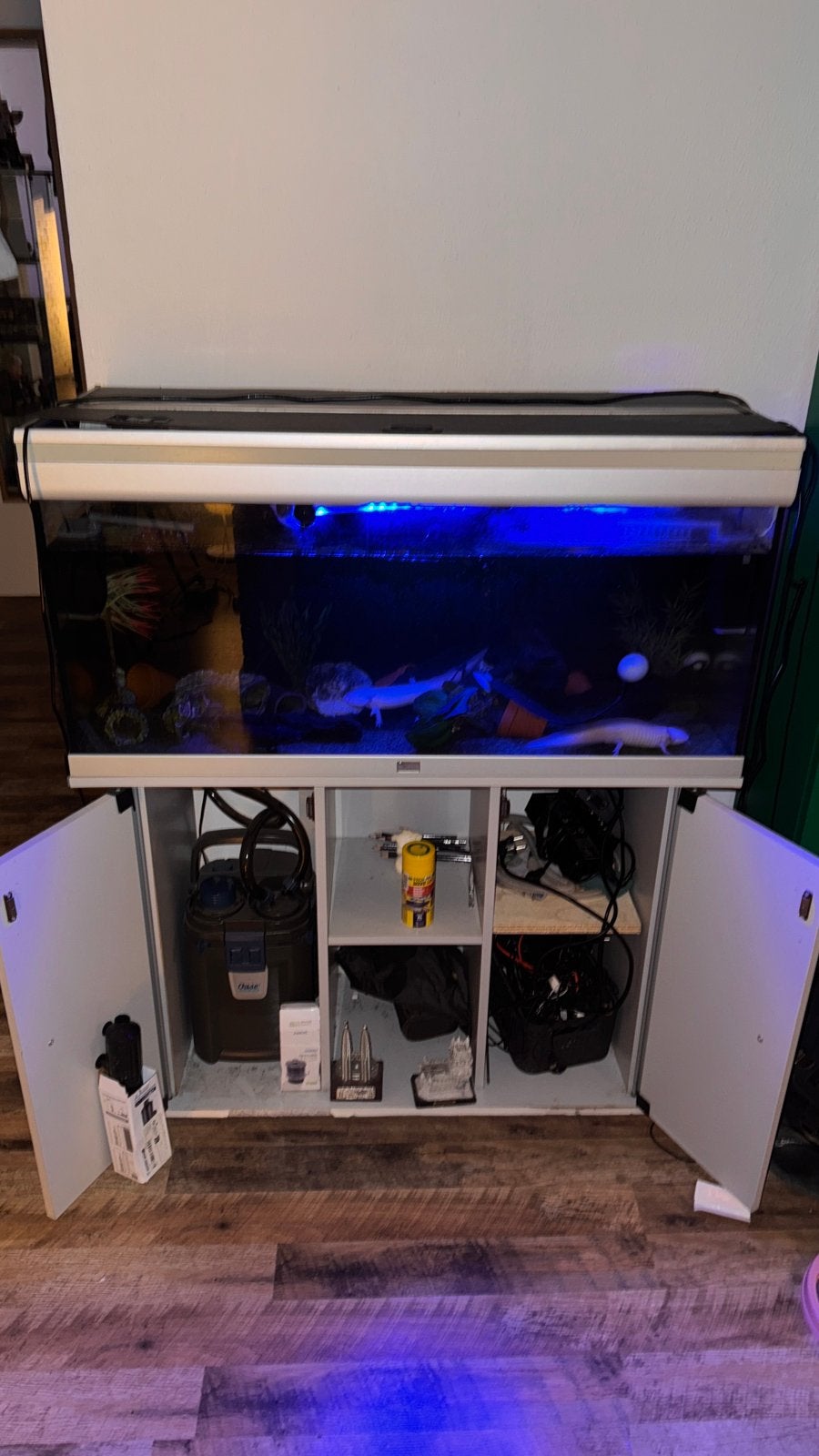 Axolotls met Aquarium merk Aquatlantis en meer, Dieren en Toebehoren, Vis
