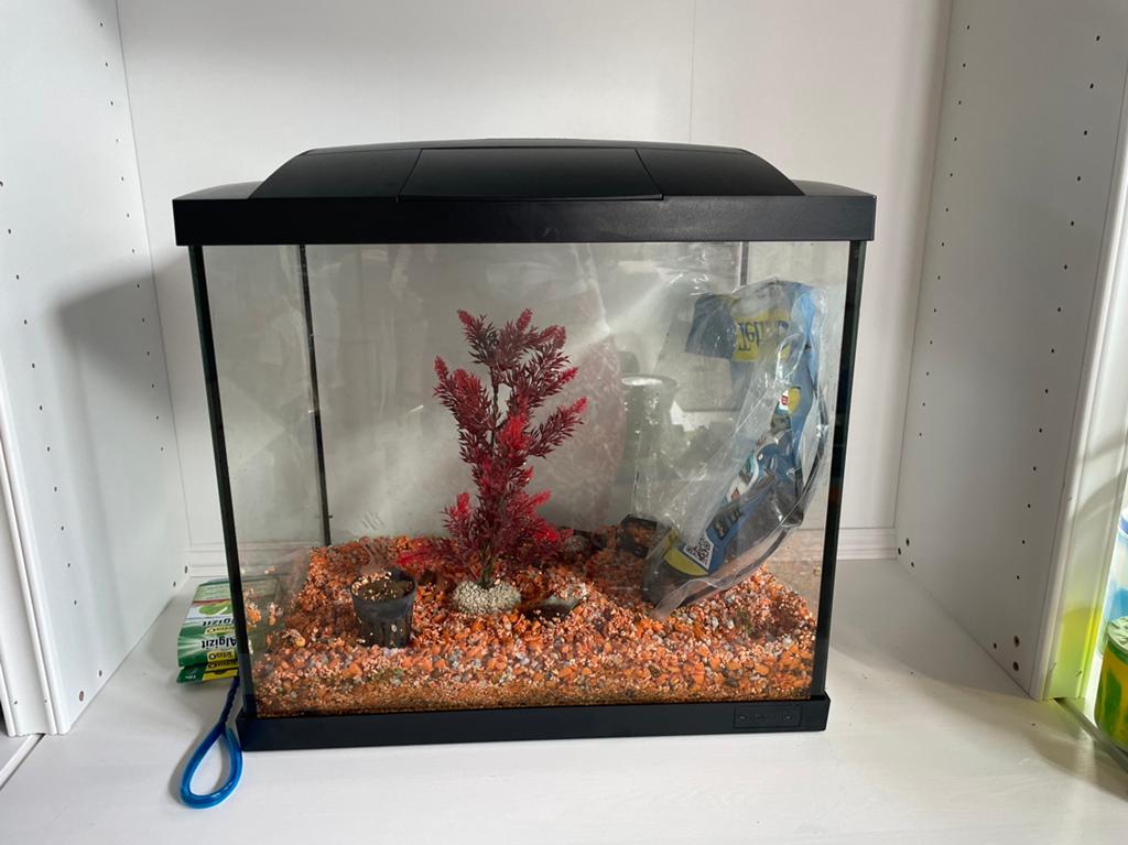 Aquarium Superfish start 50, Ophalen, Zo goed als nieuw, Leeg aquarium