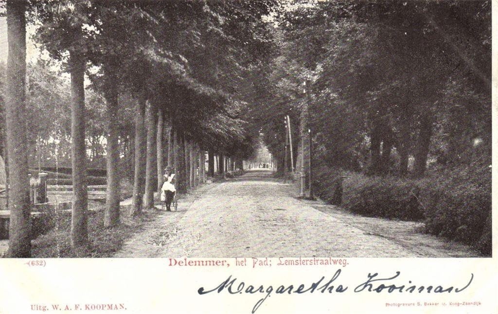 Delemmer, het Pad; Lemsterstraatweg. - volk - 1901 gelopen, Verzenden, Voor 1920, Gelopen, Friesland