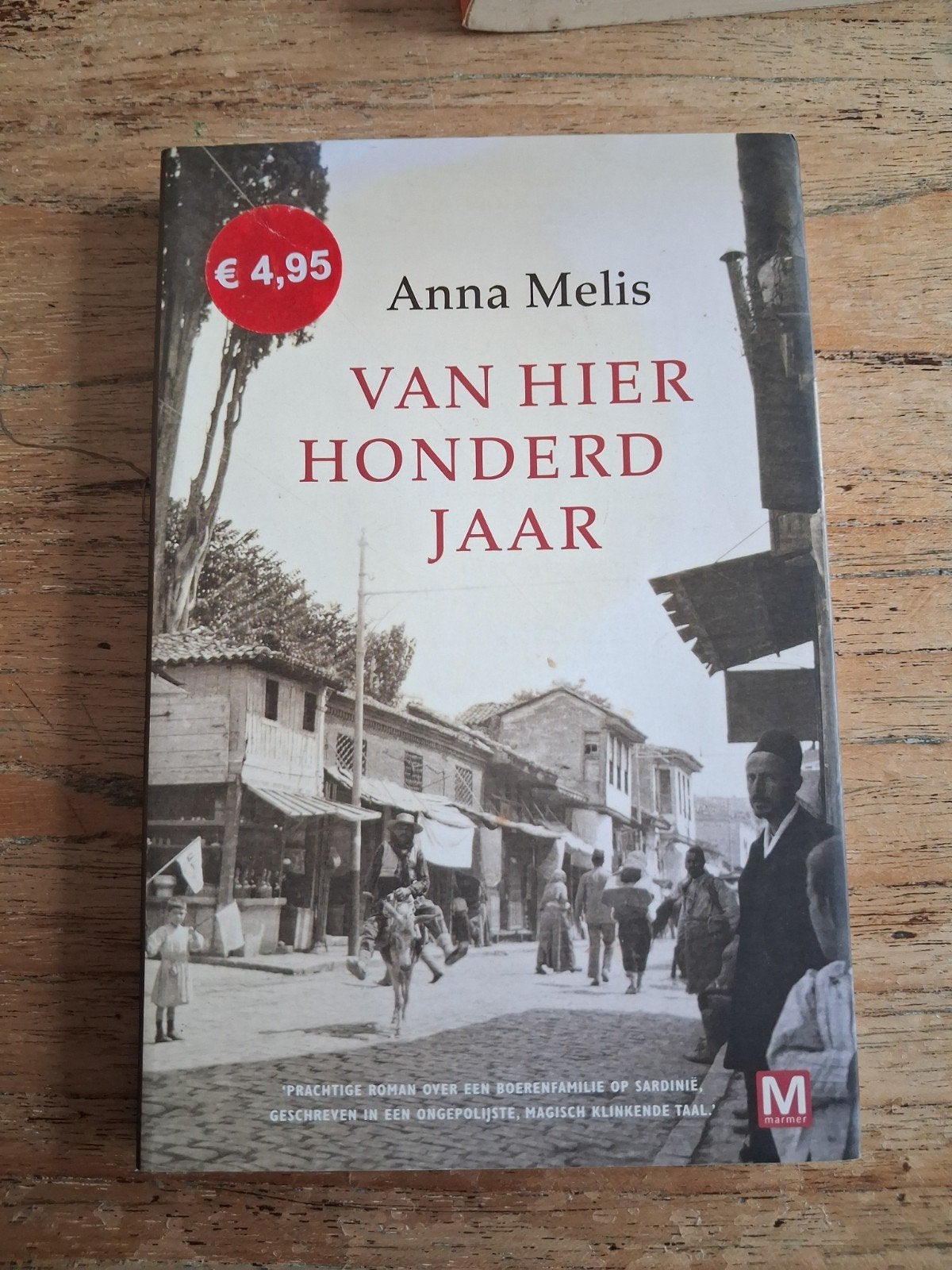 Van Hier Honderd Jaar - Anna Melis (Roman), Ophalen of Verzenden, Zo goed als nieuw, Anna Melis, Europa overig