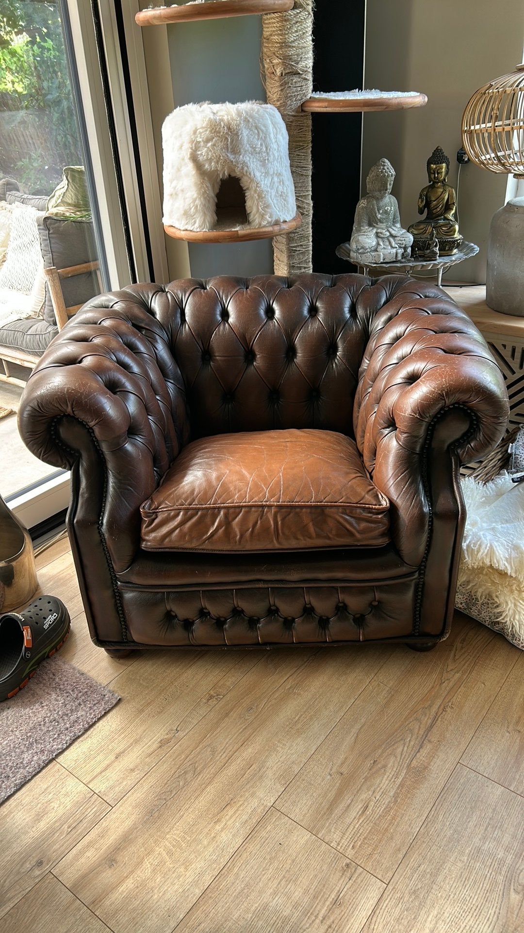 Fauteuil chesterfield BRENTON 100% buffelleer - bruin, Huis en Inrichting, Fauteuils, Ophalen, Gebruikt, Chesterfield, Leer