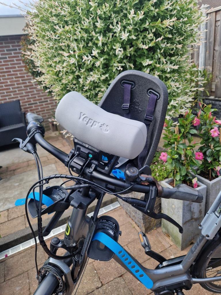 Thule Yepp  fietsstoeltje voorzitje, Ophalen, Gebruikt, Yepp