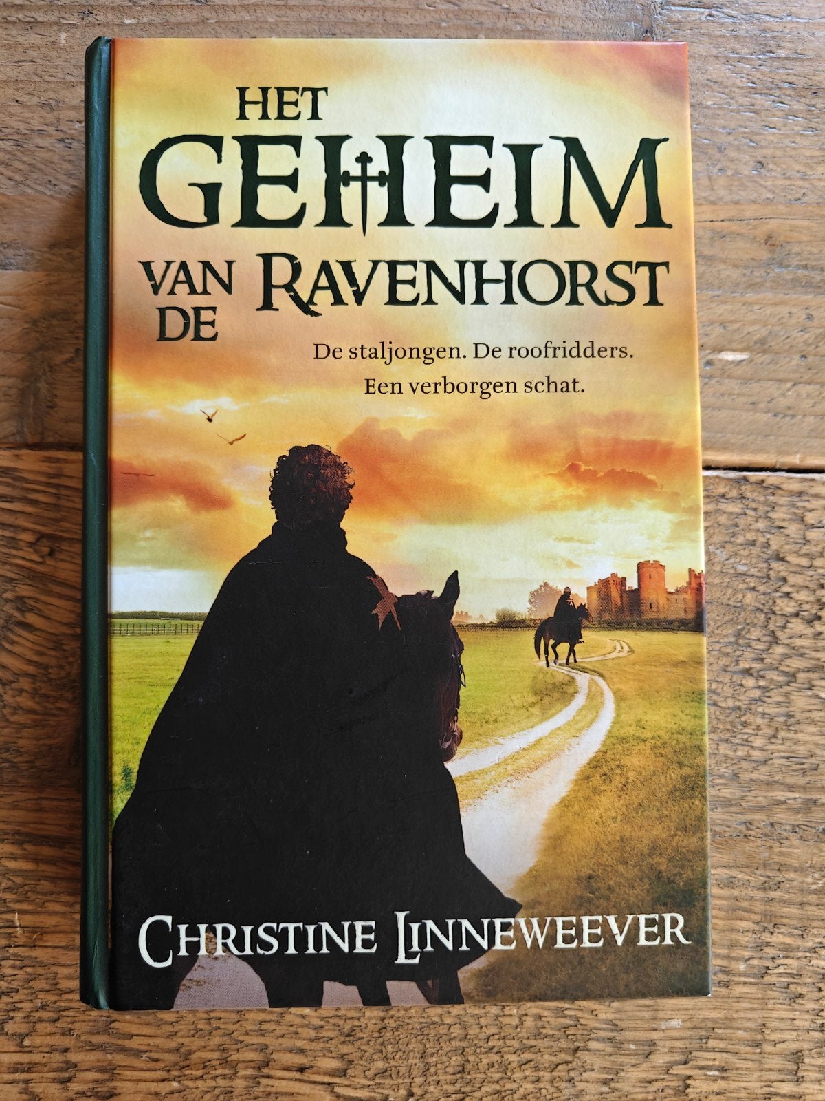 Het geheim van de Ravenhorst.