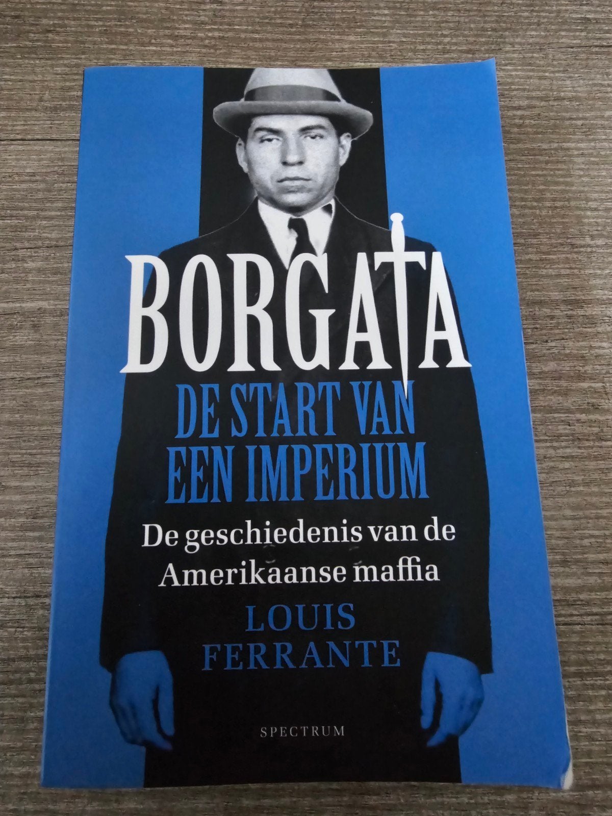 Borgata: De Start Van Een Imperium - Amerikaanse Maffia, Ophalen of Verzenden, Gelezen, Louis Ferrante