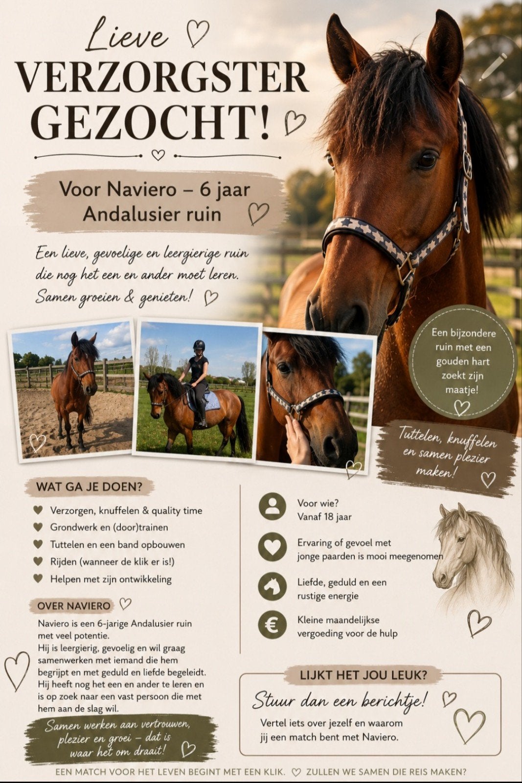 Verzorgster gezocht, Eén persoon, Ticket of Toegangskaart