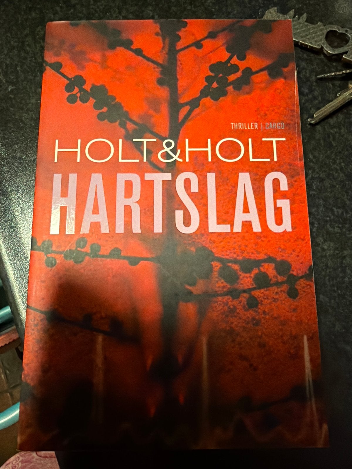 HK.   Anne Holt - Hartslag, Verzenden, Anne Holt; Even Holt, Zo goed als nieuw, Nederland