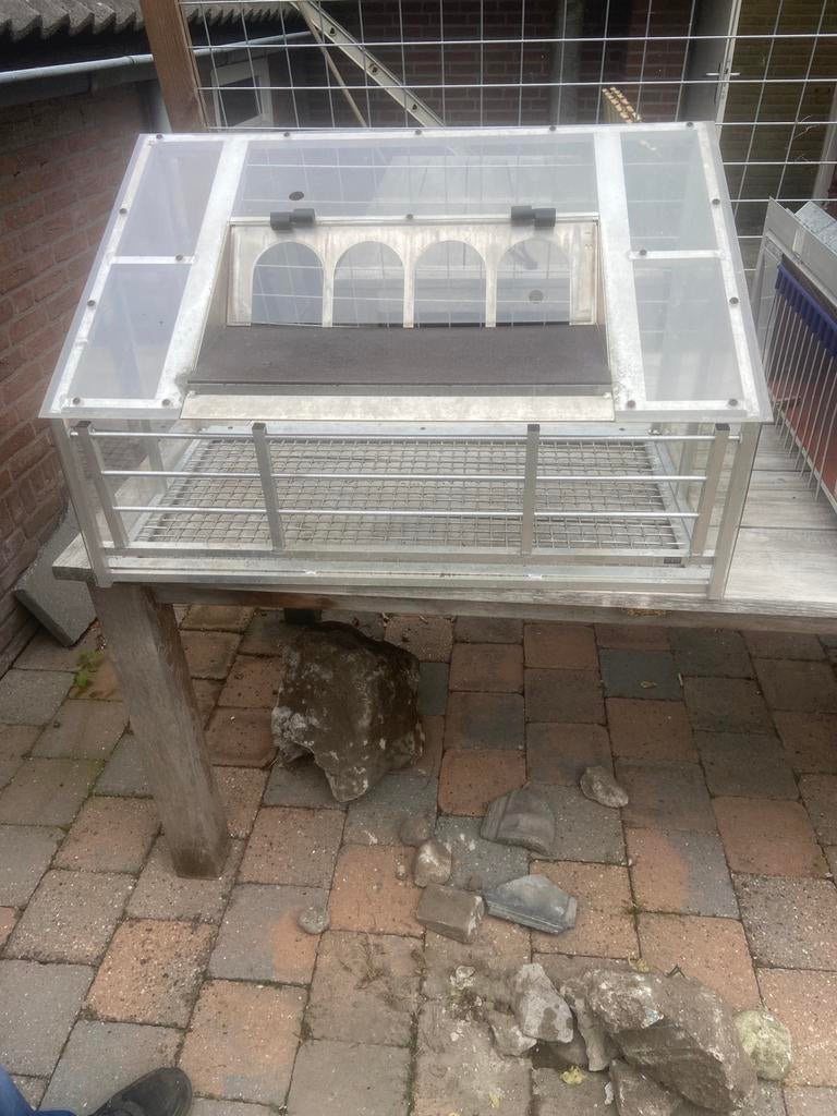 Habru Spoetnik Duiven Sport, Meerdere dieren, Postduif