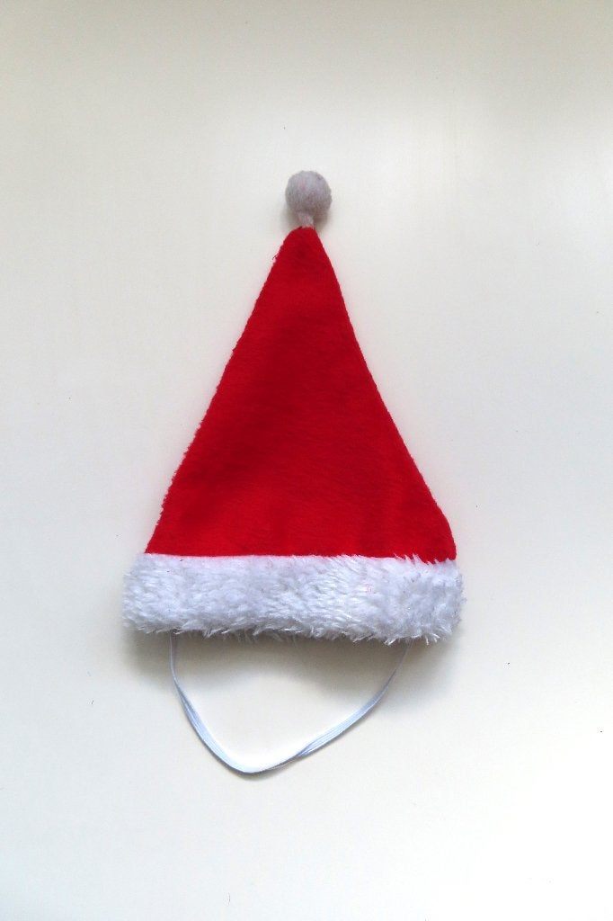 Kerstmuts Hond (4377), Ophalen of Verzenden, Nieuw, Overige hondenkleding