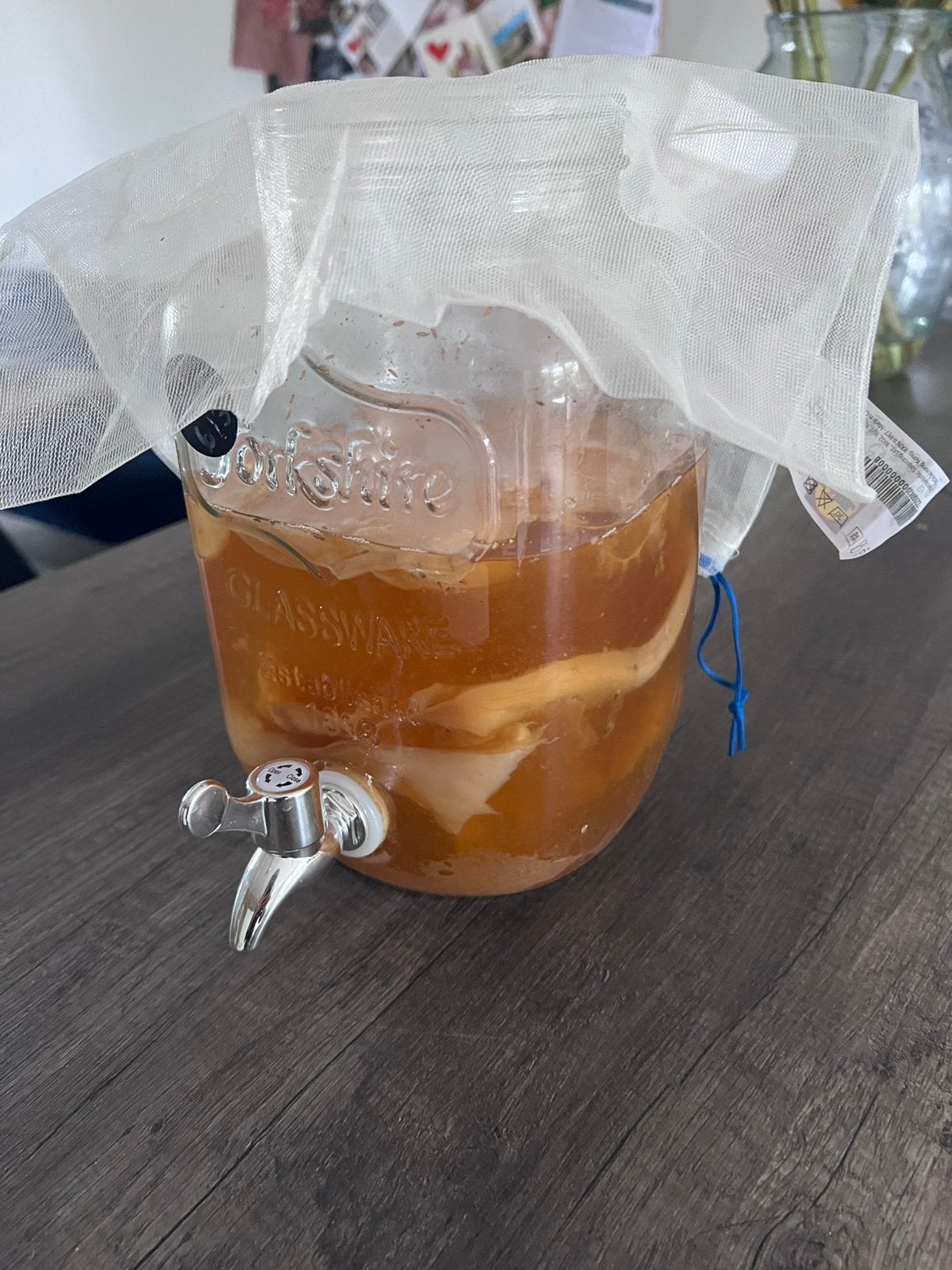 Kombucha zwam gratis, Ophalen