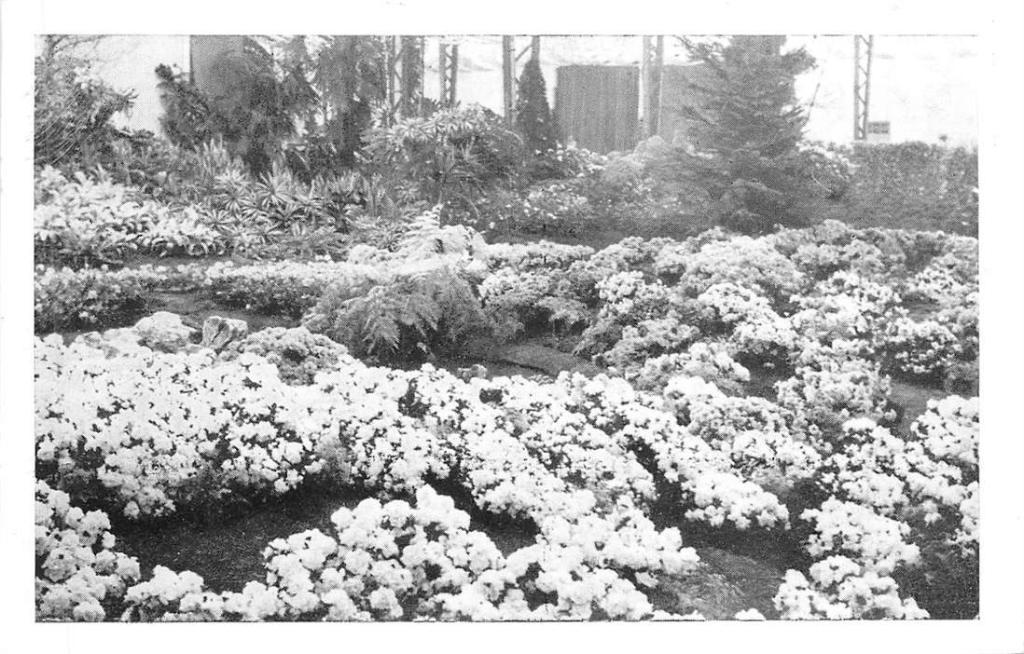 381-237-011 Floralies Gantoises, Verzenden, Voor 1920, Overig Europa