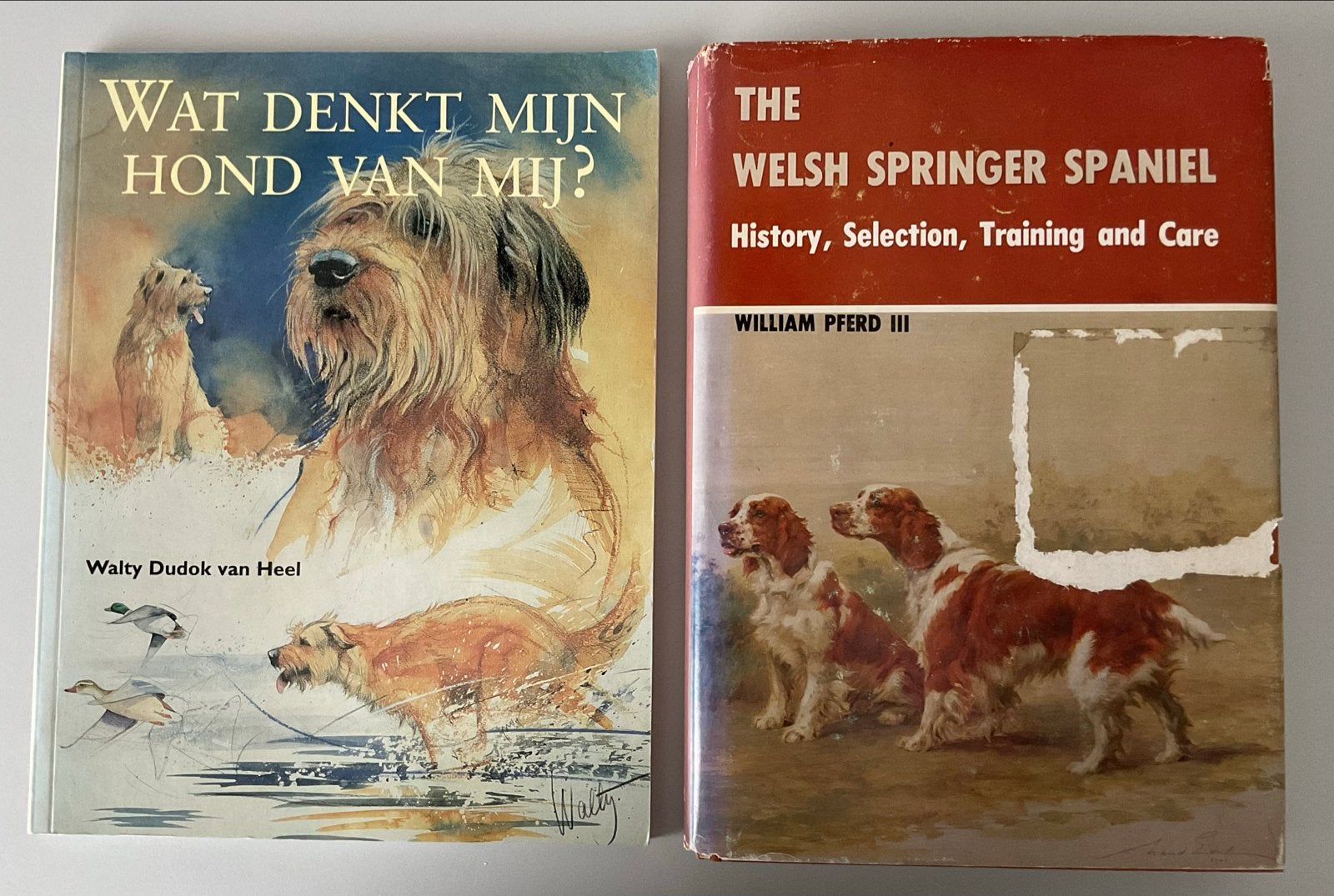Hondenboeken: Wat Denkt Mijn Hond Van Mij? & Welsh Springer, Ophalen of Verzenden, Gelezen, Honden
