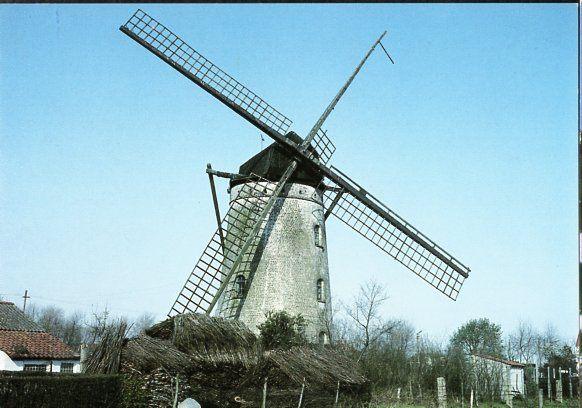 (BG081) Ansichtkaart België Knokke-Heist Siska's Molen 1997, Ophalen of Verzenden, 1980 tot heden, Ongelopen, West-Vlaanderen