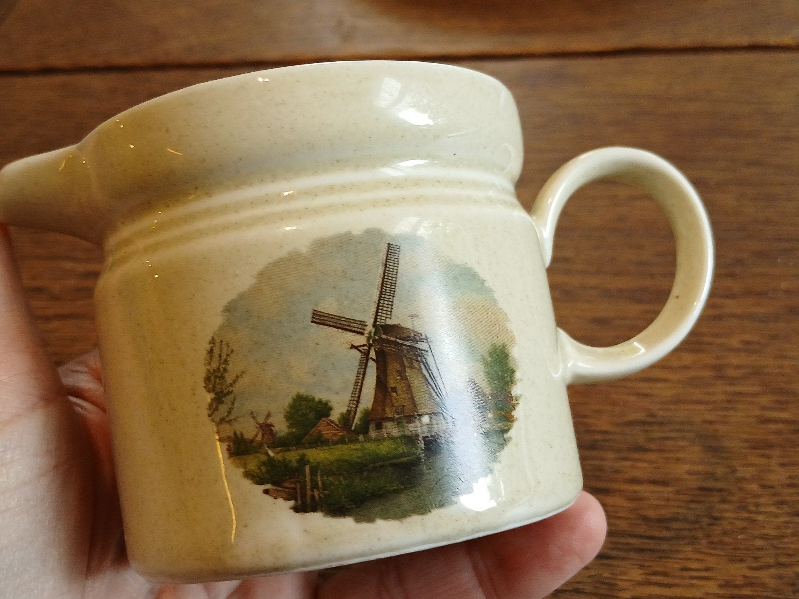 ROYAL SCHWABAP KOFFIEMELKKANNETJE. HANDPAINTED. Z.G.S HG 7.1, Ophalen of Verzenden, Zo goed als nieuw, Porselein, Kop en/of schotel