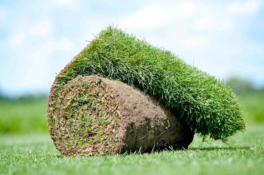 Verse Graszoden voor een Prachtig Gazon, Tuin en Terras, Gras en Kunstgras, Ophalen of Verzenden, Nieuw, 20 m² of meer, Gras