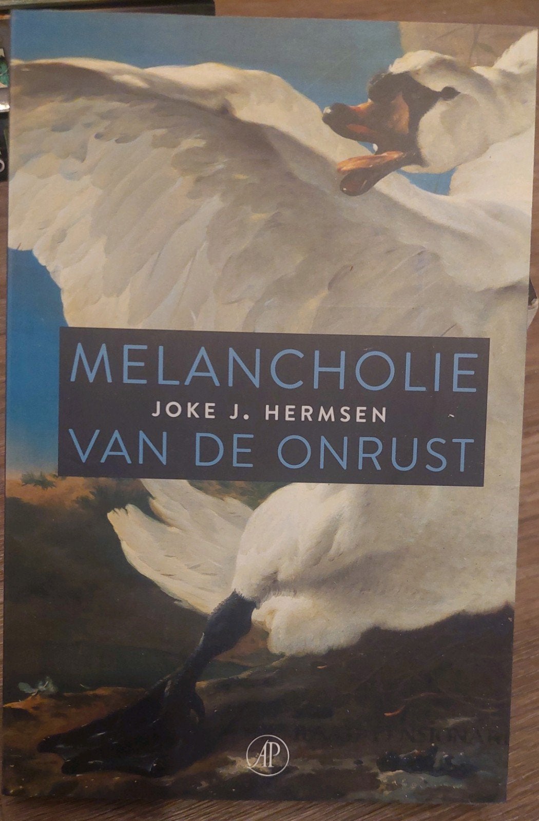 Melancholie van de Onrust - Joke J. Hermsen, Boeken, Ophalen of Verzenden, Gelezen, Joke J. Hermsen