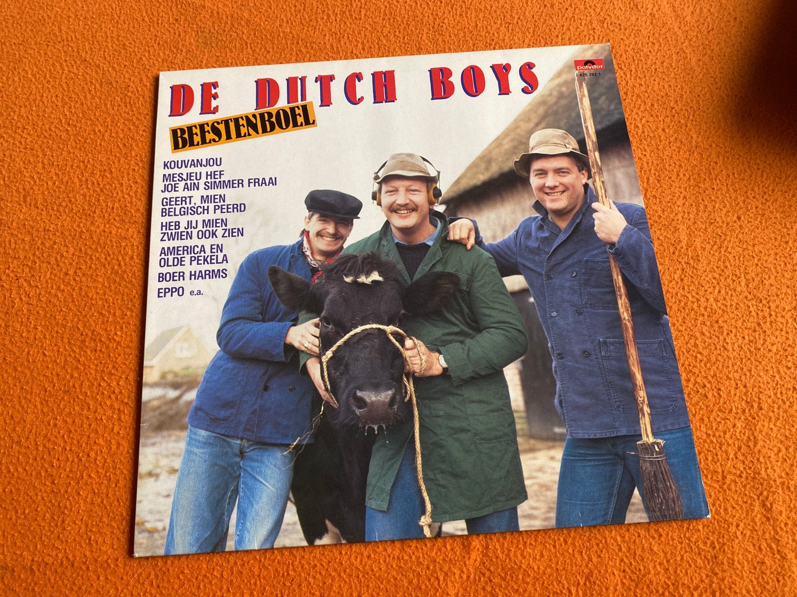 De Dutch Boys, Cd's en Dvd's, Ophalen of Verzenden, Zo goed als nieuw