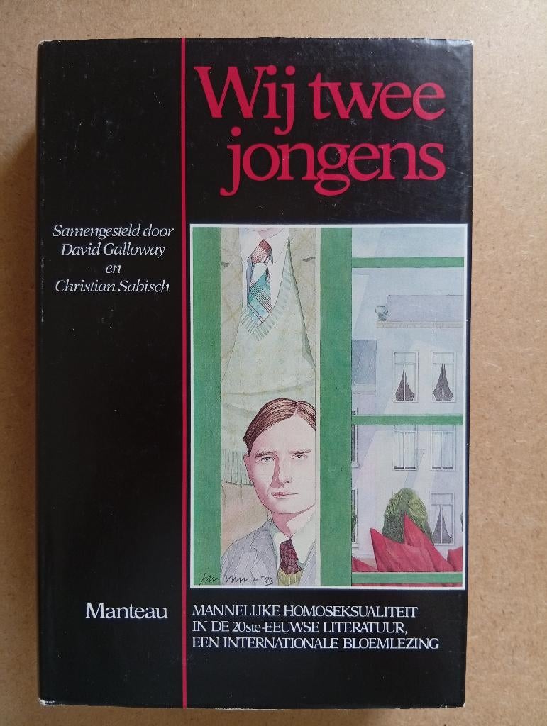 Wij twee jongens - internationale bloemlezing, Boeken, Gelezen, Europa overig, Diverse auteurs, Ophalen of Verzenden