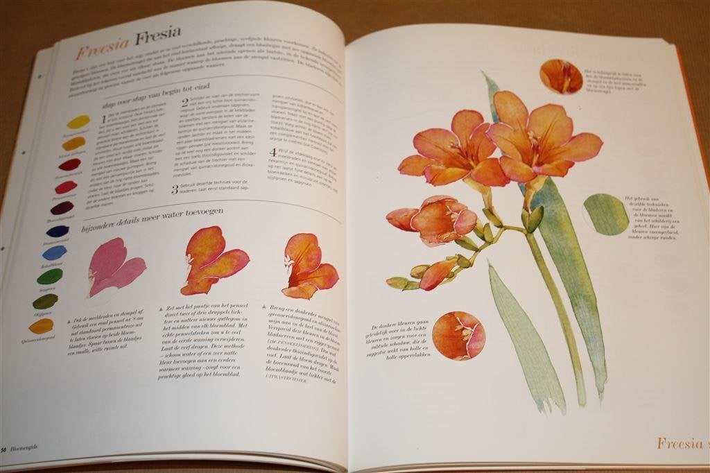 Bloemen aquarelleren. Instructies voor 50 populaire bloemen., Boeken, Ophalen of Verzenden, Gelezen, Overige onderwerpen