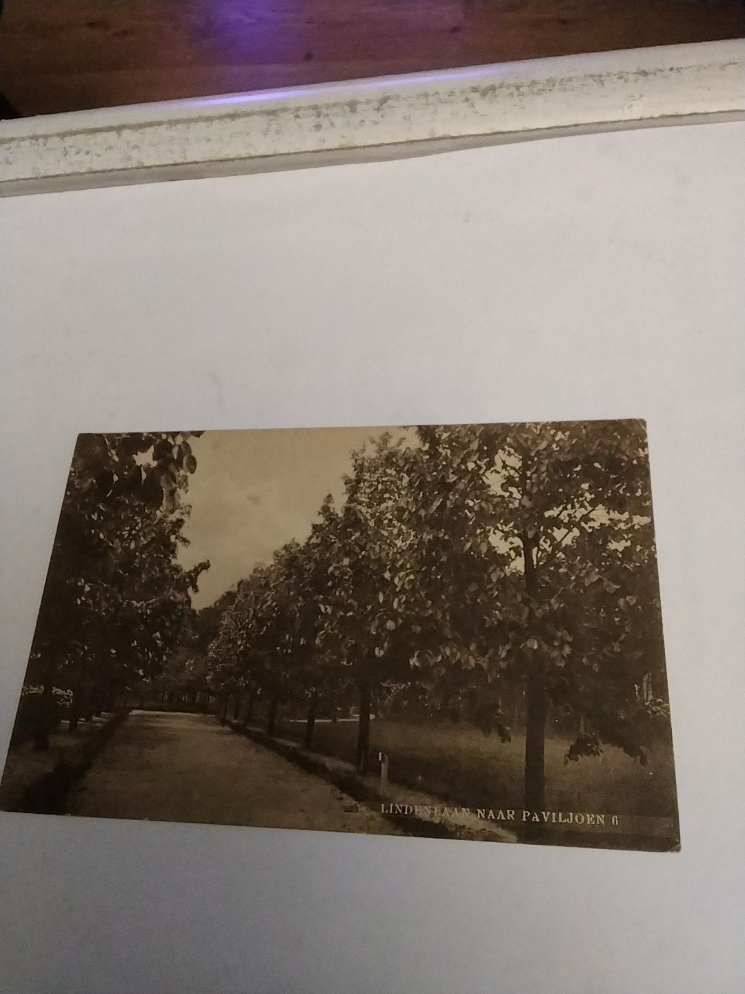 Oude briefkaart Bergen op Zoom - Vrederust Lindelaan  1926, Ophalen of Verzenden