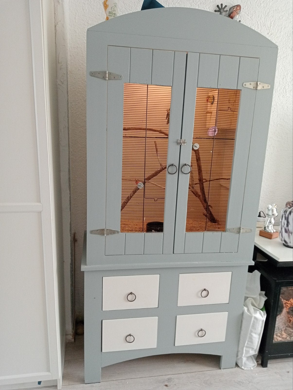 Te koop: Koppeltje Agapornissen, Ophalen of Verzenden, Volière