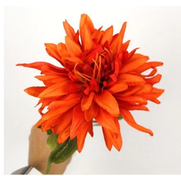 CHRYSANT - ORANJE & ROOD, Ophalen of Verzenden, Nieuw