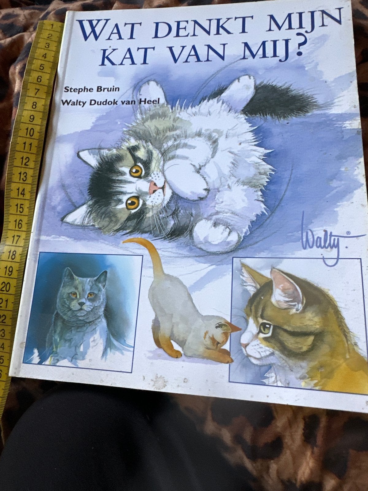 Wat Denkt Mijn Kat Van Mij? - Stehpe Bruin & Walty Dudok, Ophalen of Verzenden, Gelezen, Katten