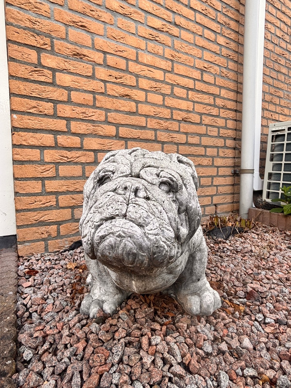 Tehuis gezocht voor 2 Engelse Bulldog beelden, Tuin en Terras, Ophalen of Verzenden, Gebruikt, Steen, Dierenbeeld