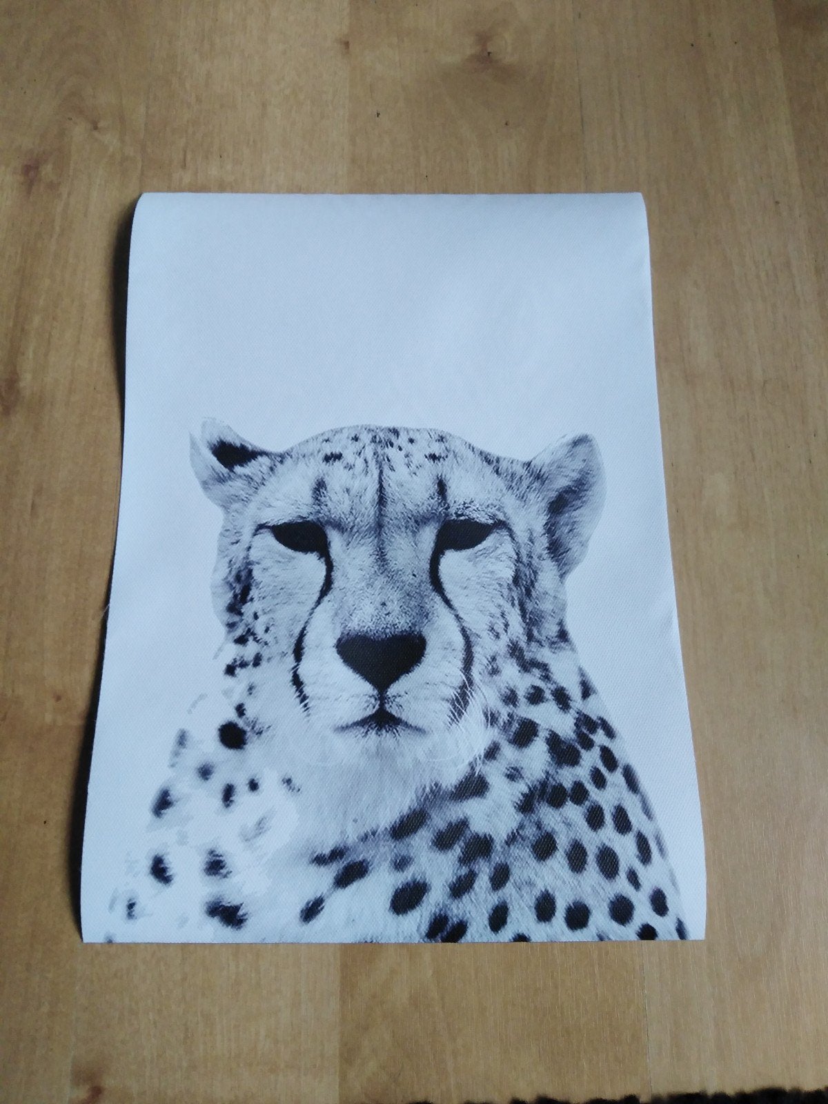Canvas poster panter zwart wit, Minder dan 50 cm, Nieuw, Ophalen of Verzenden, Foto of Poster