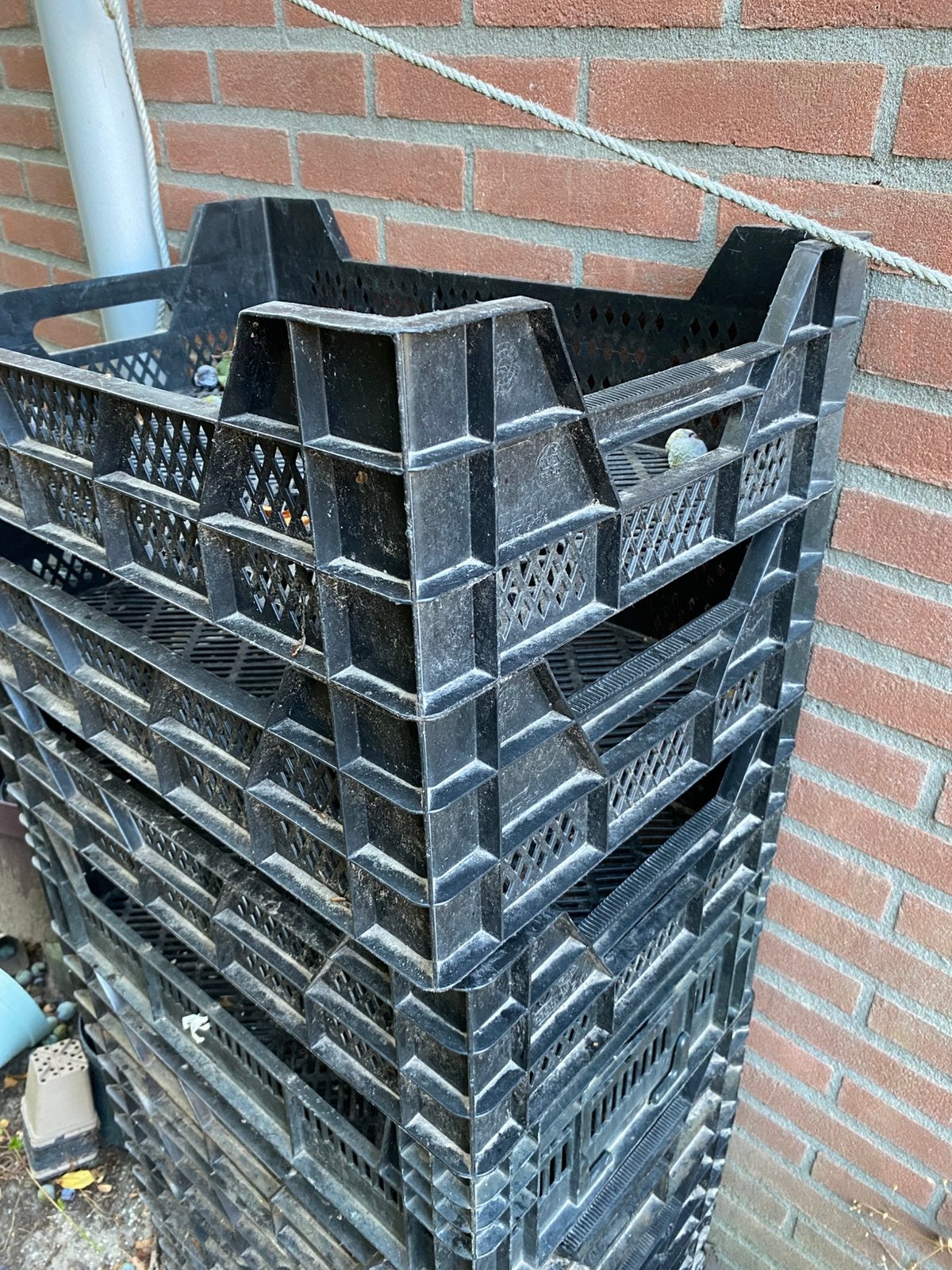 Veenmanskisten, Ophalen, 60 cm of meer, Minder dan 35 cm, Doos