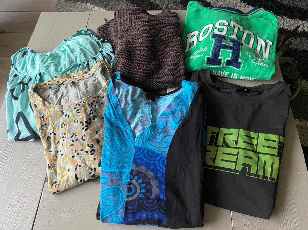 Leuk pakketje dameskleding mt L voor 3 euro !!!, Ophalen of Verzenden, Gedragen, Maat 42/44 (L)