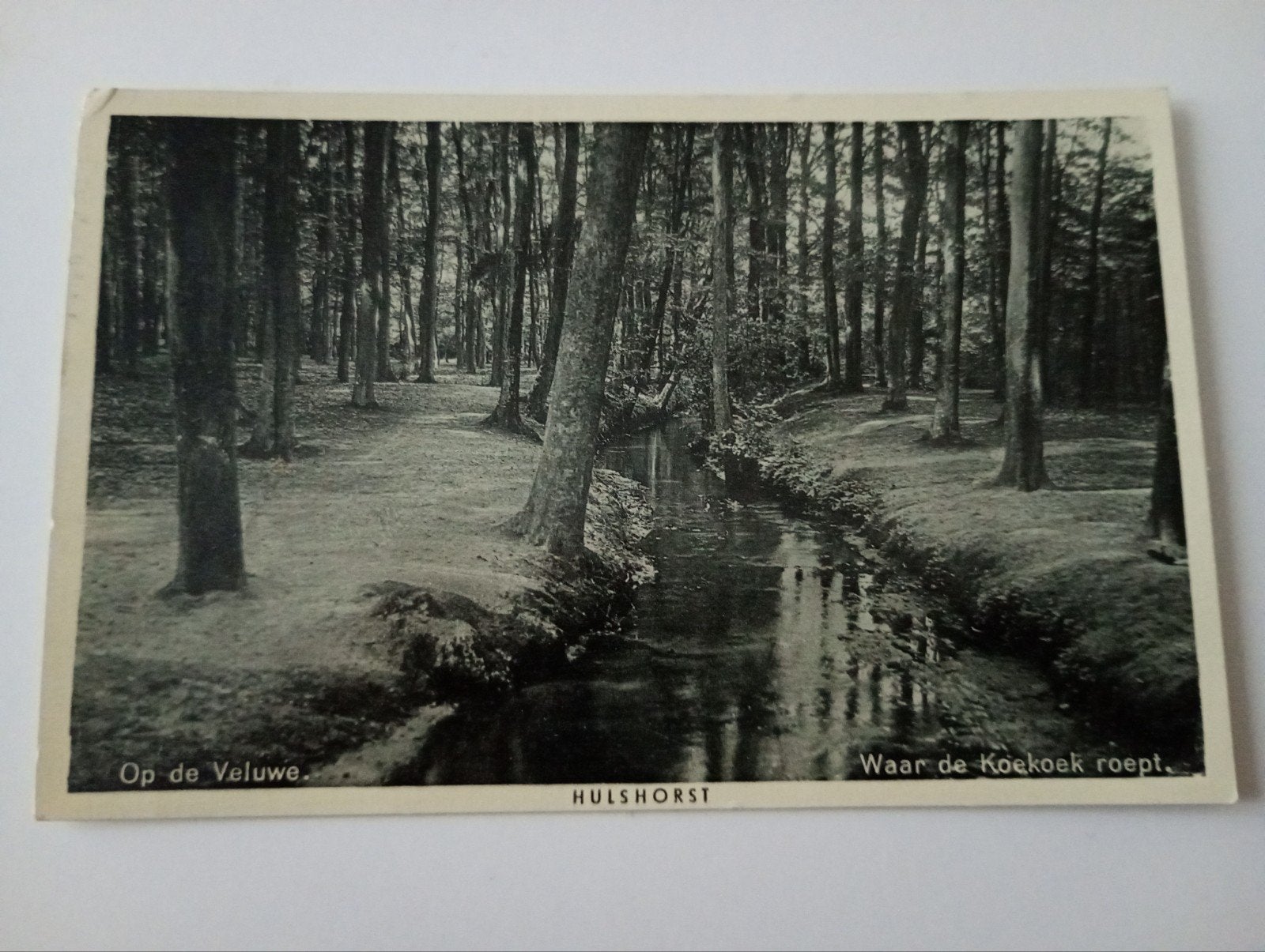 Hulshorst bij Nunspeet 1939, Ophalen of Verzenden, 1920 tot 1940, Gelopen, Gelderland