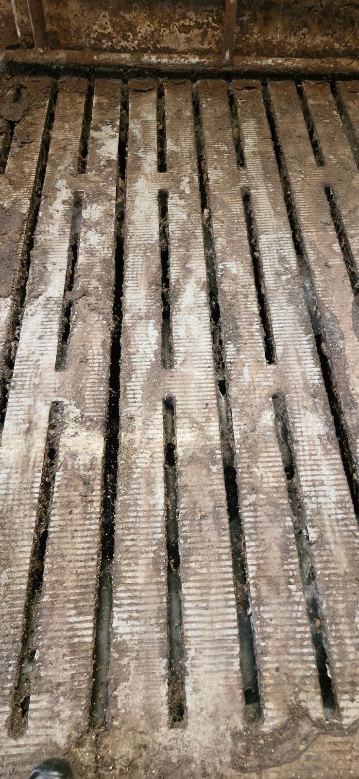 betonroosters 300x33x14