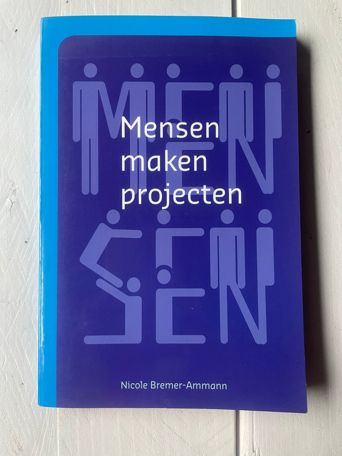 Nicole Bremer-Ammann - Mensen maken projecten boek, Ophalen of Verzenden, Nieuw