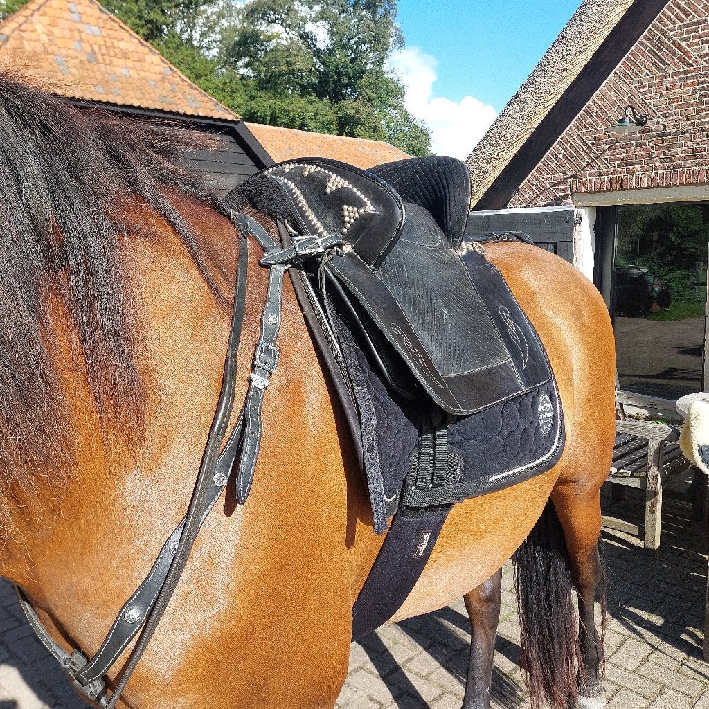 Origineel Spaans zadel Ludomar, Dieren en Toebehoren, Ophalen, L (17.5 inch), Gebruikt, Dressuur