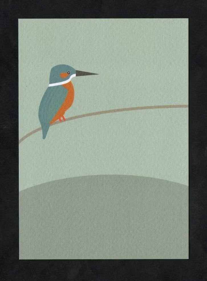 Ansichtkaart IJsvogel King Fisher Alcedo Atthis., Ophalen of Verzenden, 1980 tot heden, Ongelopen, Vogel