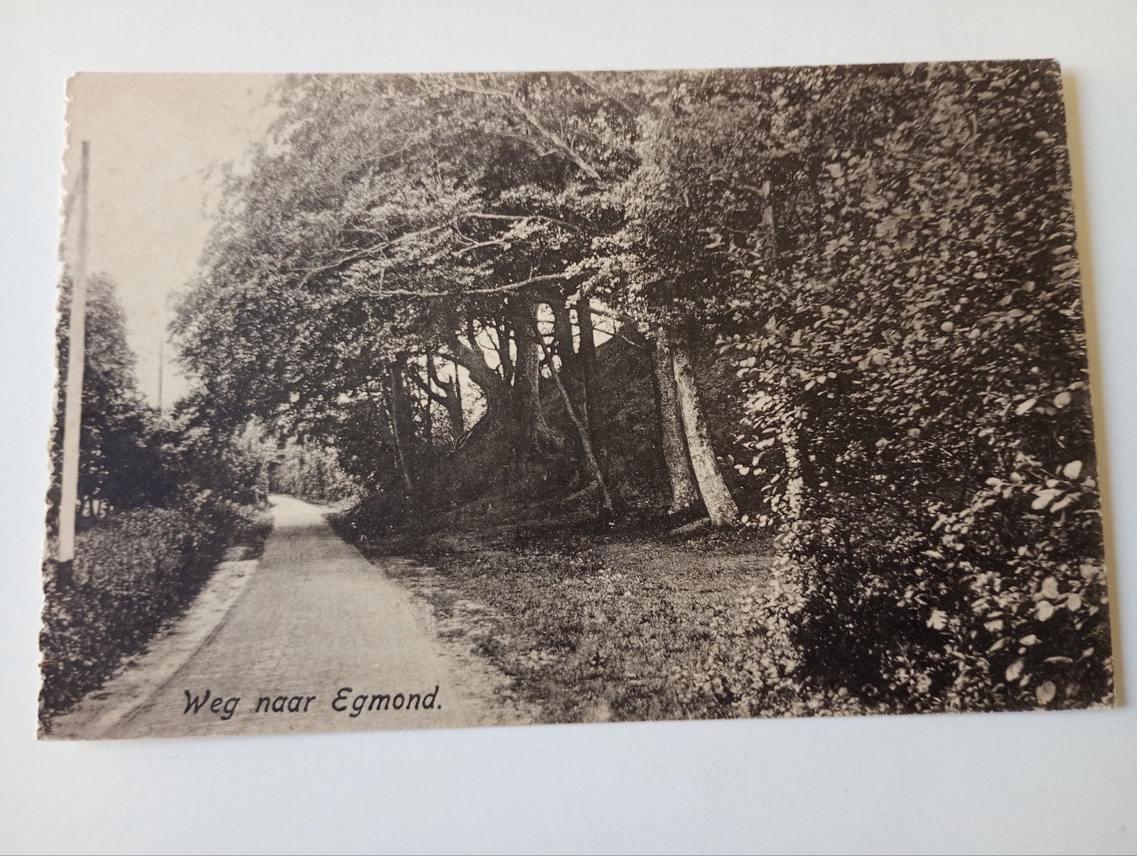 Bergen NH Weg naar Egmond, Ophalen of Verzenden, Voor 1920, Ongelopen, Noord-Holland