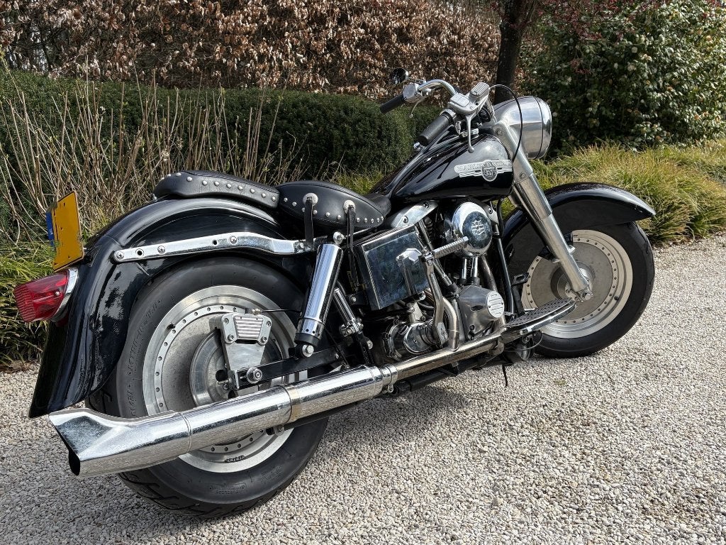 Harley-Davidson FLH Electra Glide 1973, Motoren, Motoren | Harley-Davidson, Cardan-aandrijving, 2 cilinders, Occasion, Motorrijbewijs A