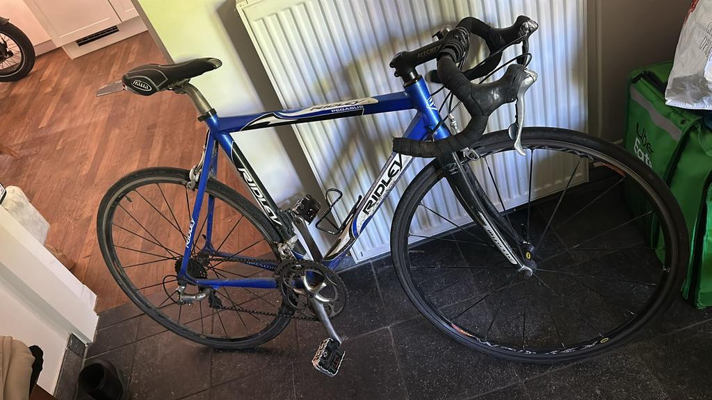 Pegasus Ridley Racefiets, Gebruikt, Meer dan 20 versnellingen, 53 tot 57 cm, Ophalen