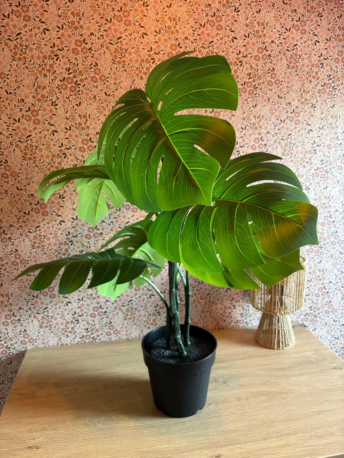 Kunst Monstera Plant, Ophalen, Binnen, Groen, Kunstplant